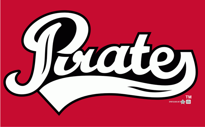 Portland Pirates 2010 11 Wordmark Logo iron on transfers for T-shirts